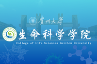 必赢bwin线路检测中心官网 Logo